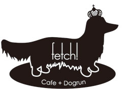 Cafe Dogrun Fetch